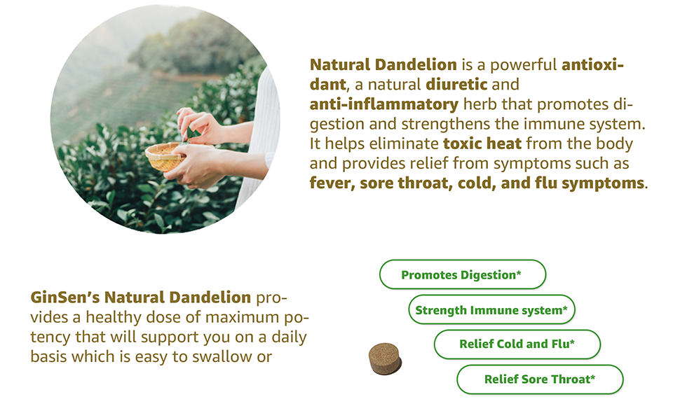 High Strength Natural Dandelion Extract Herbal Immune System Support
